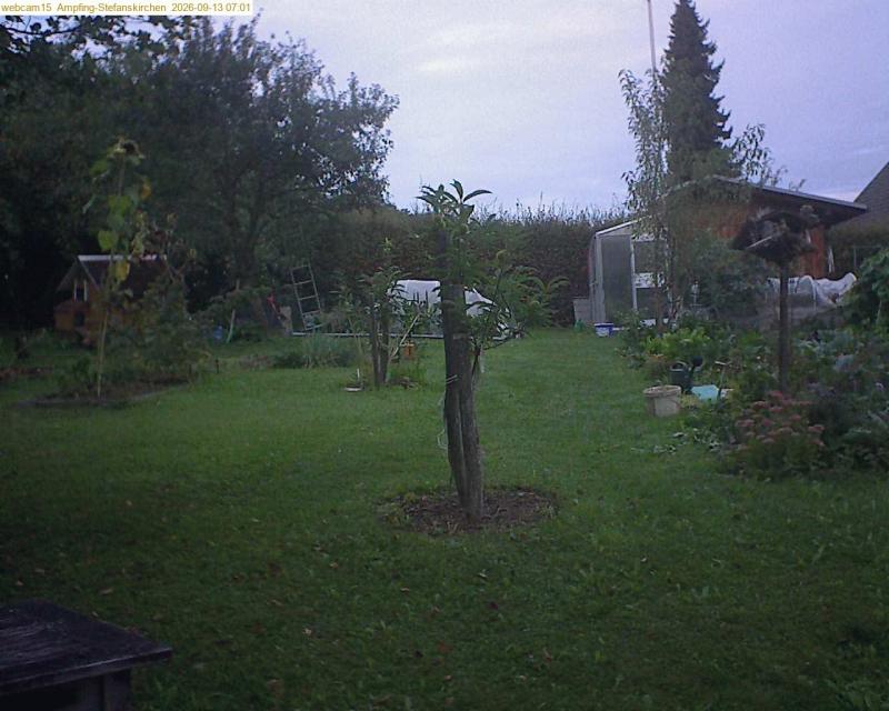 xxFoto von 2026-09-13_070146