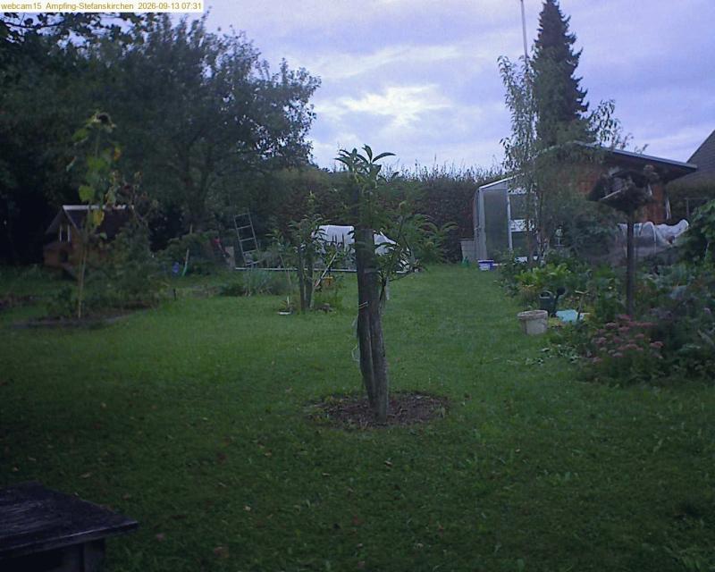 xxFoto von 2026-09-13_073146
