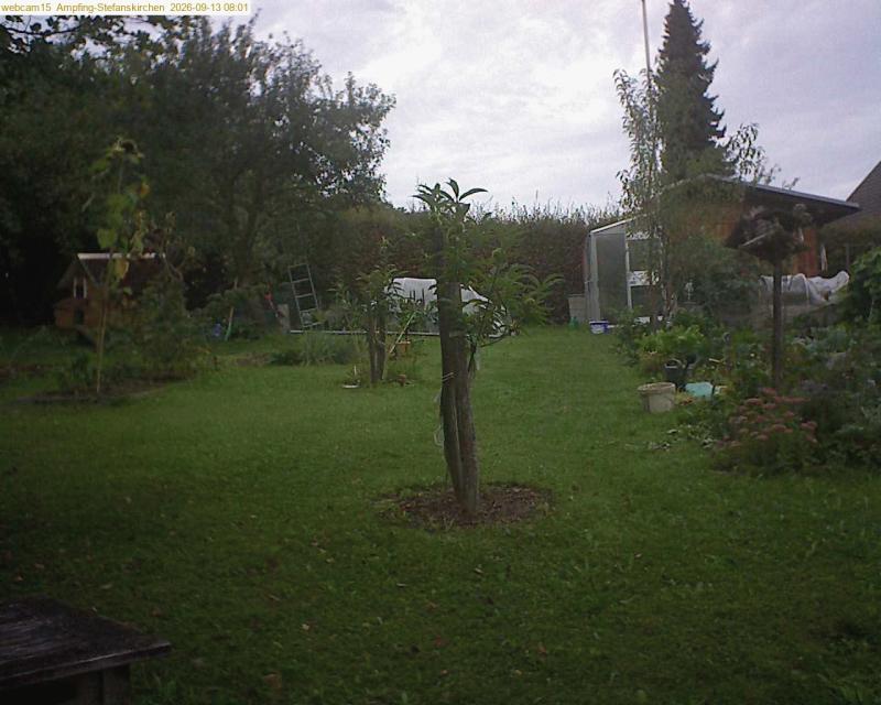 xxFoto von 2026-09-13_080144