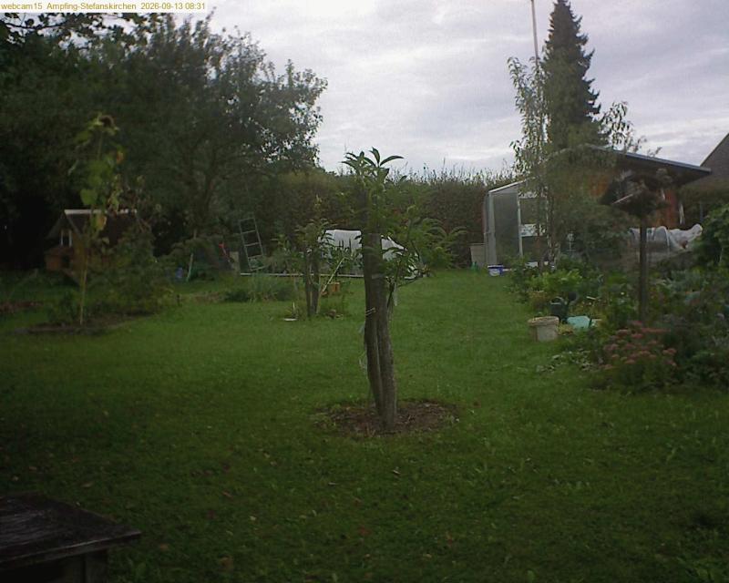 xxFoto von 2026-09-13_083145