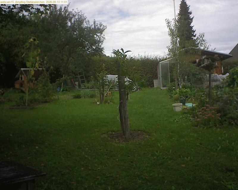 xxFoto von 2026-09-13_110154