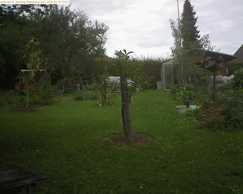 xxFoto von 2026-09-13_120152