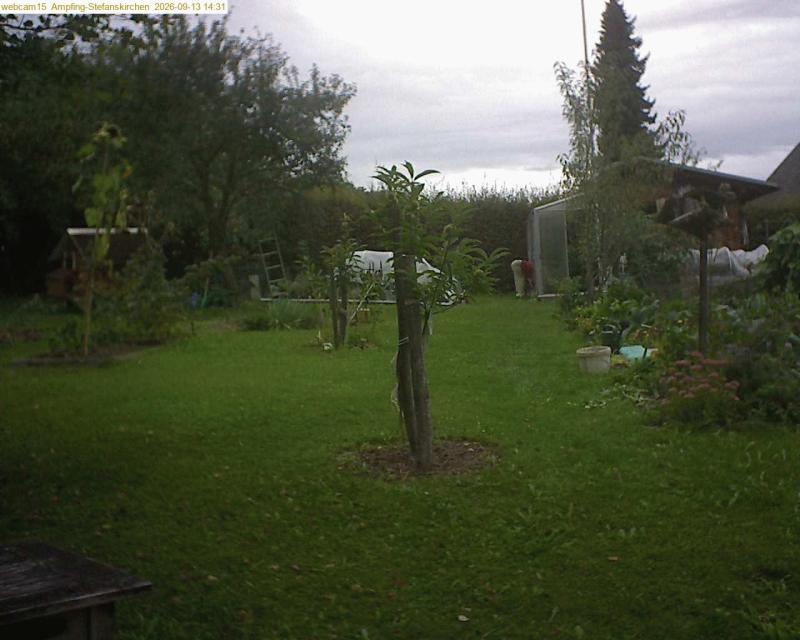 xxFoto von 2026-09-13_143153