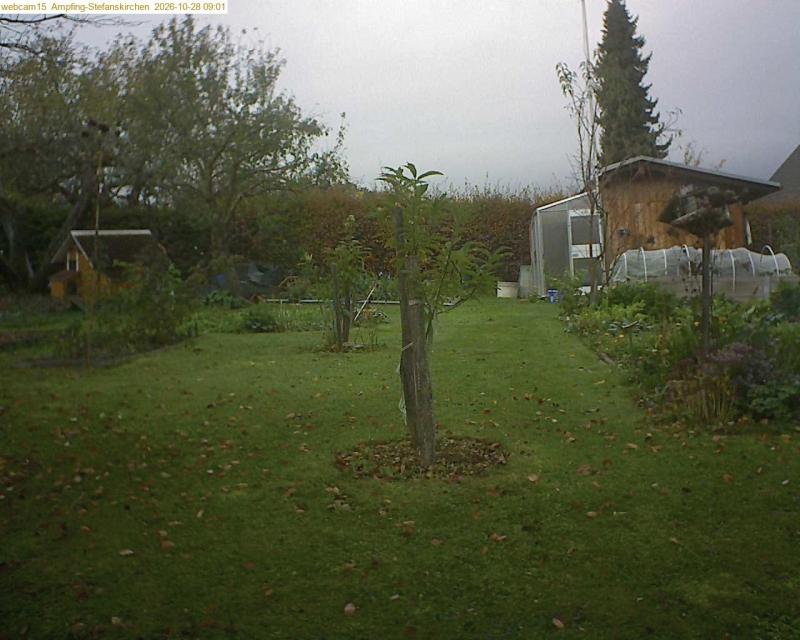 xxFoto von 2026-10-28_090138