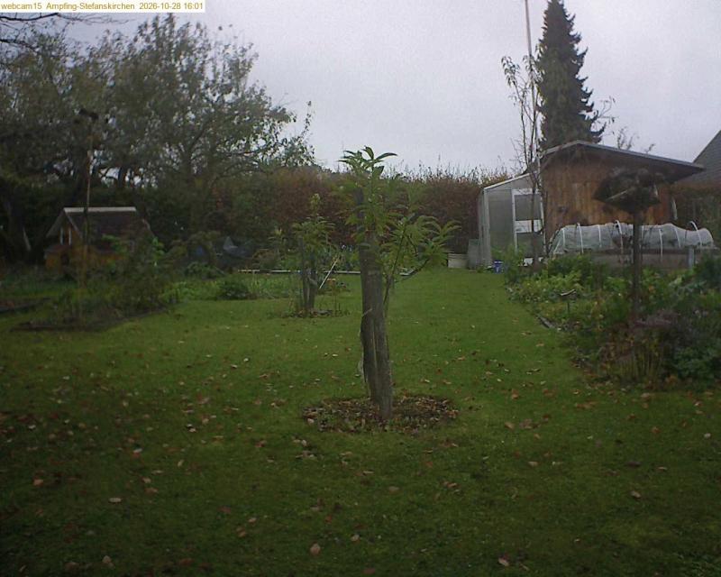 xxFoto von 2026-10-28_160138