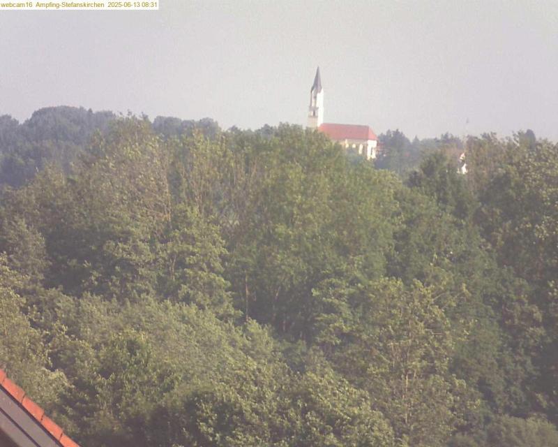 xxFoto von 2025-06-13_083134