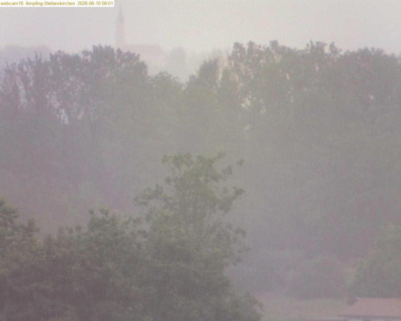 xxFoto von 2026-06-10_080120
