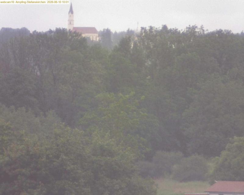 xxFoto von 2026-06-10_100121