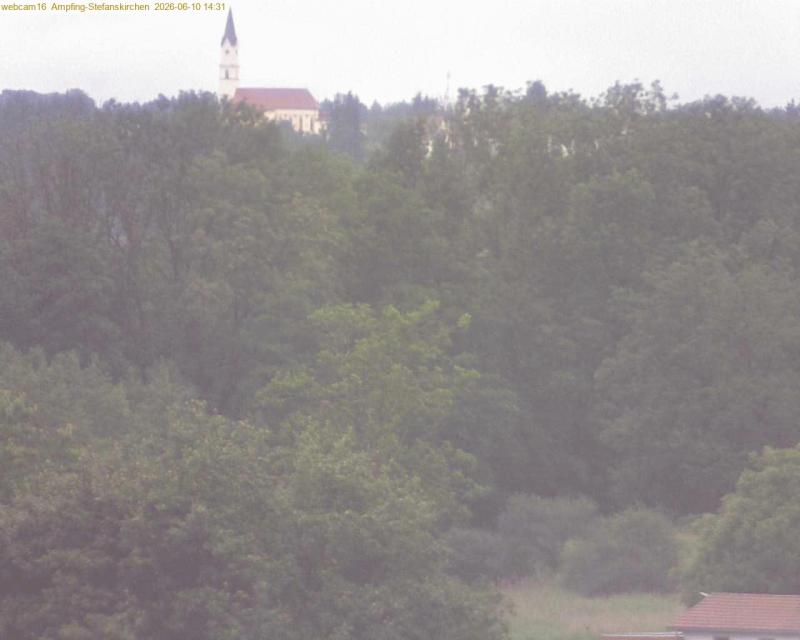 xxFoto von 2026-06-10_143122