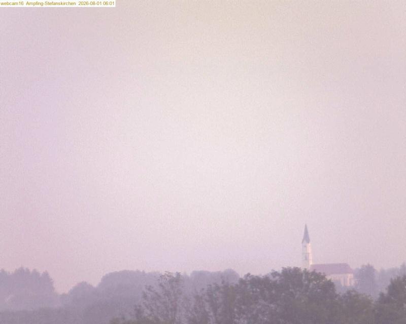 xxFoto von 2026-08-01_060122