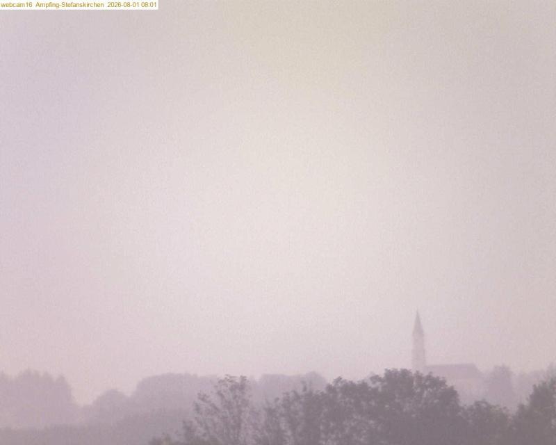 xxFoto von 2026-08-01_080124