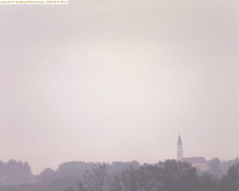 xxFoto von 2026-08-01_083124