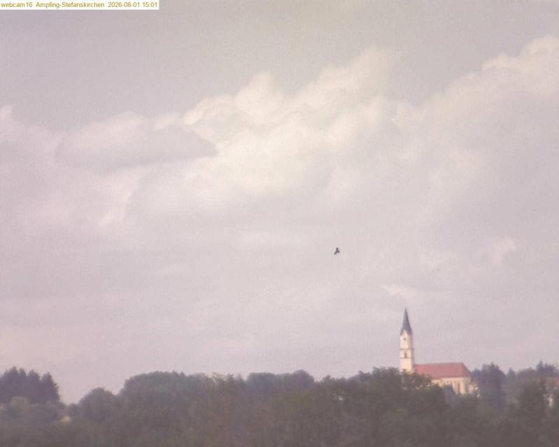 xxFoto von 2026-08-01_150125