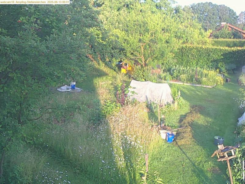 xxFoto von 2025-06-13_060134