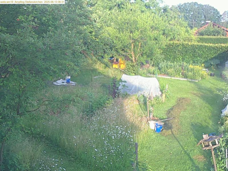 xxFoto von 2025-06-13_063134