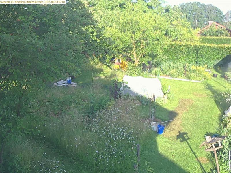 xxFoto von 2025-06-13_070136