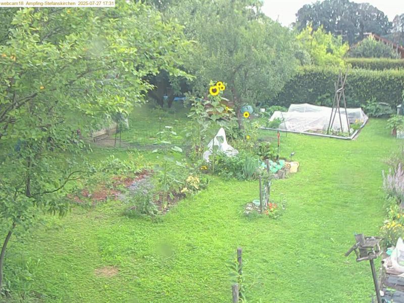 xxFoto von 2025-07-27_173139