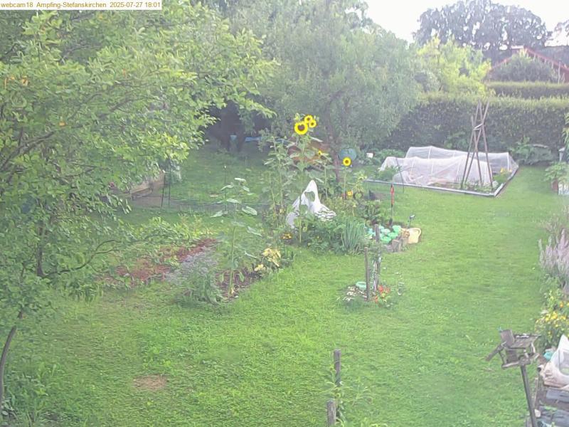 xxFoto von 2025-07-27_180137