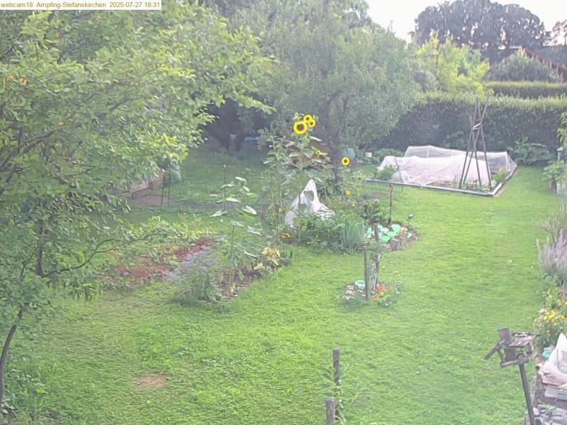 xxFoto von 2025-07-27_183138