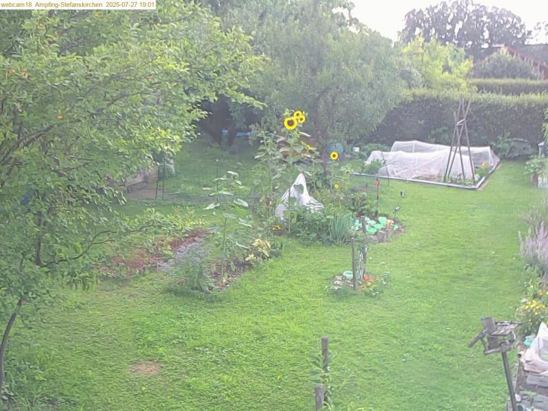 xxFoto von 2025-07-27_190137