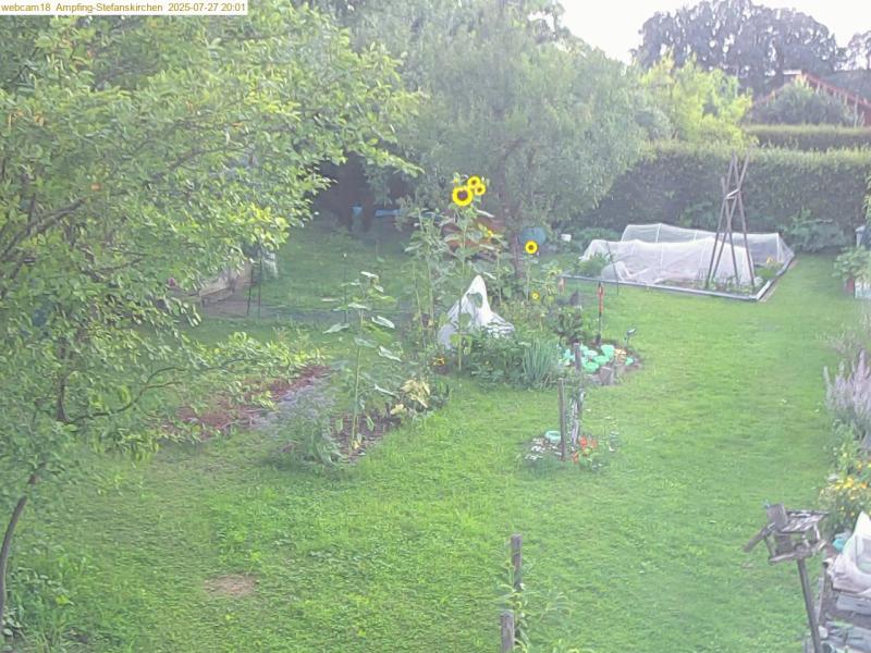 xxFoto von 2025-07-27_200138