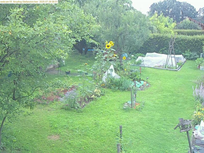 xxFoto von 2025-07-28_060139