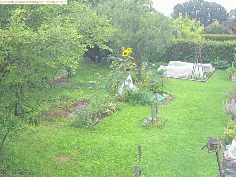 xxFoto von 2025-07-28_063137