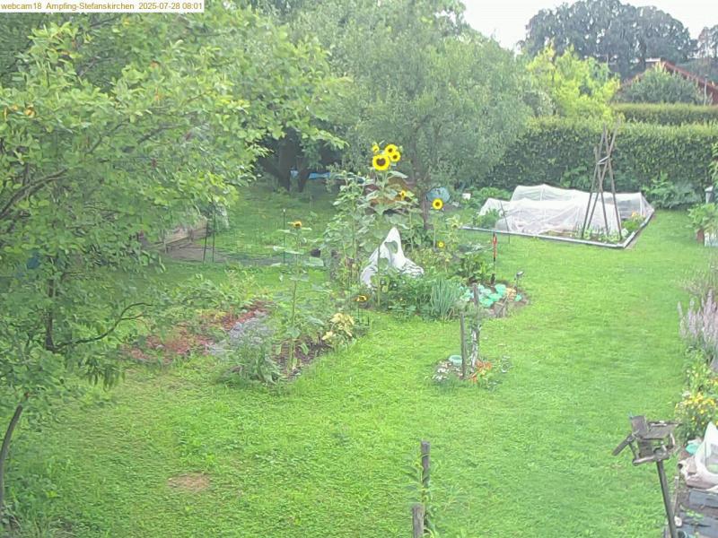xxFoto von 2025-07-28_080139
