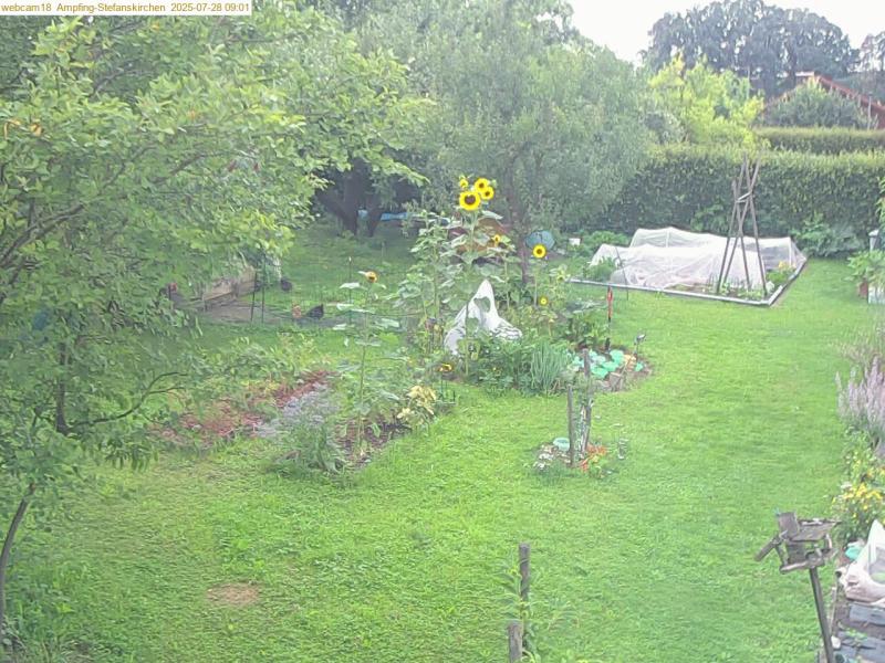 xxFoto von 2025-07-28_090137