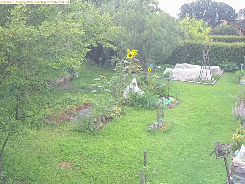 xxFoto von 2025-07-28_093138