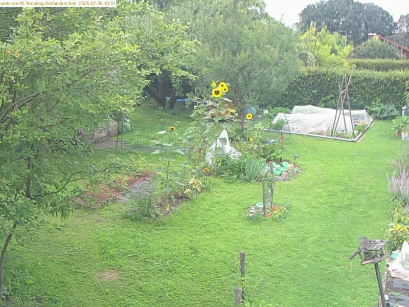 xxFoto von 2025-07-28_103138