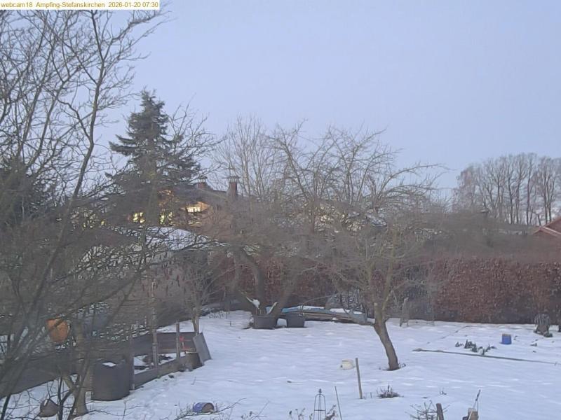 xxFoto von 2026-01-20_073042