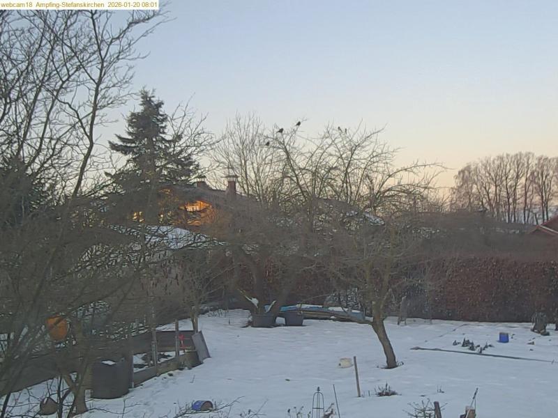 xxFoto von 2026-01-20_080124