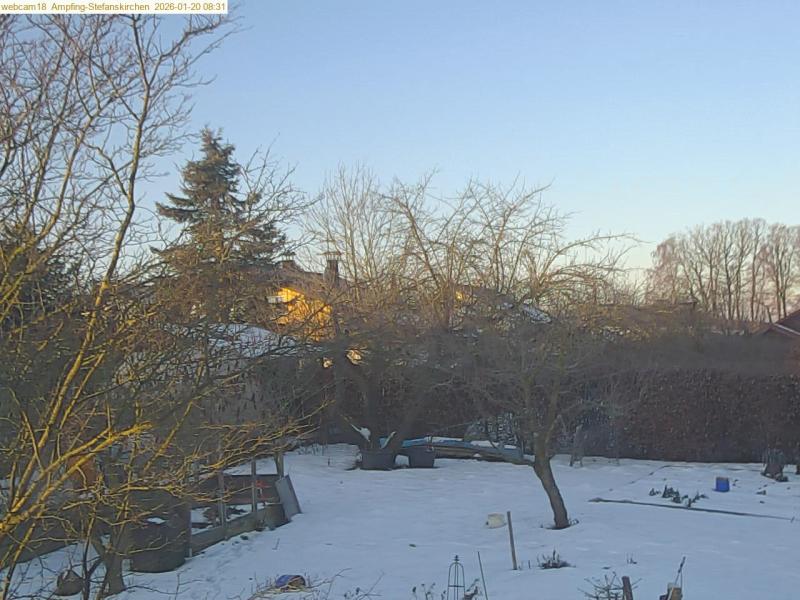 xxFoto von 2026-01-20_083124