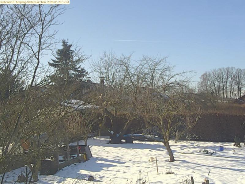 xxFoto von 2026-01-20_123122