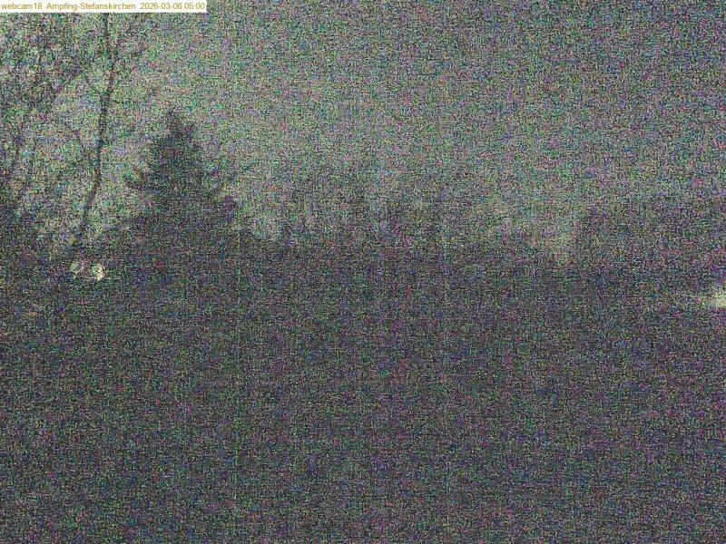 xxFoto von 2026-03-06_050038