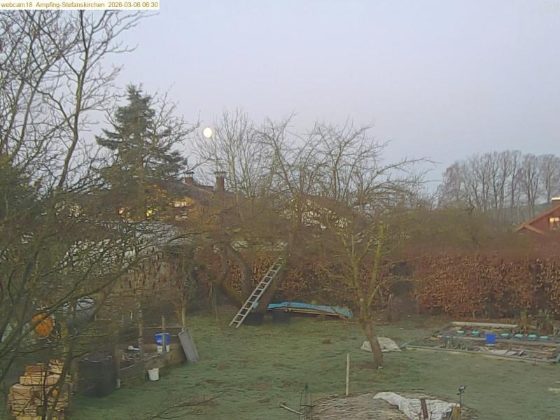 xxFoto von 2026-03-06_063037