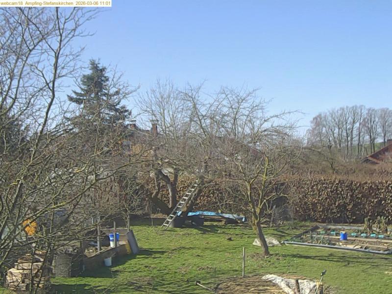 xxFoto von 2026-03-06_110123