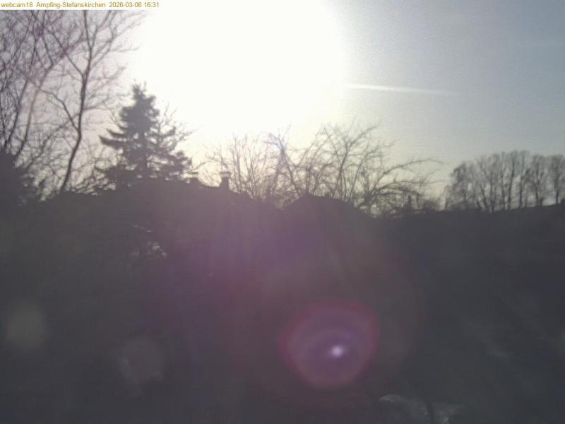 xxFoto von 2026-03-06_163121