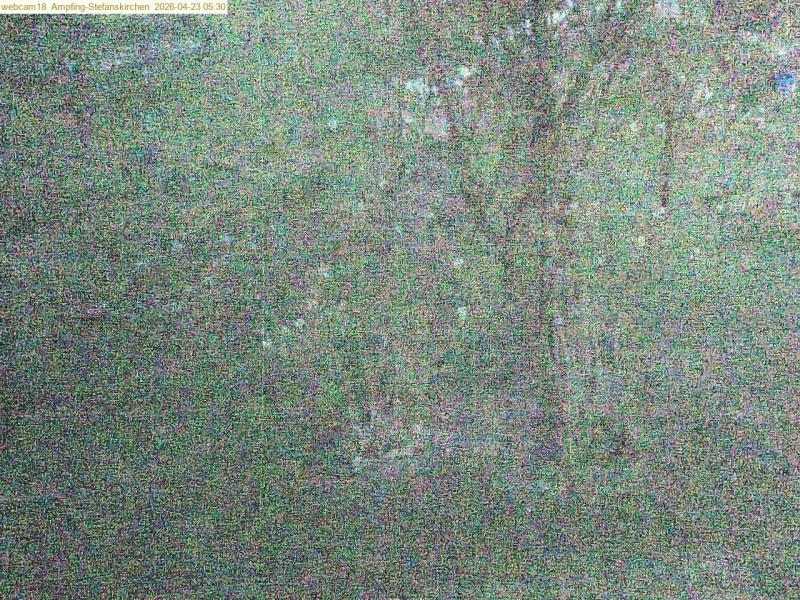 xxFoto von 2026-04-23_053038