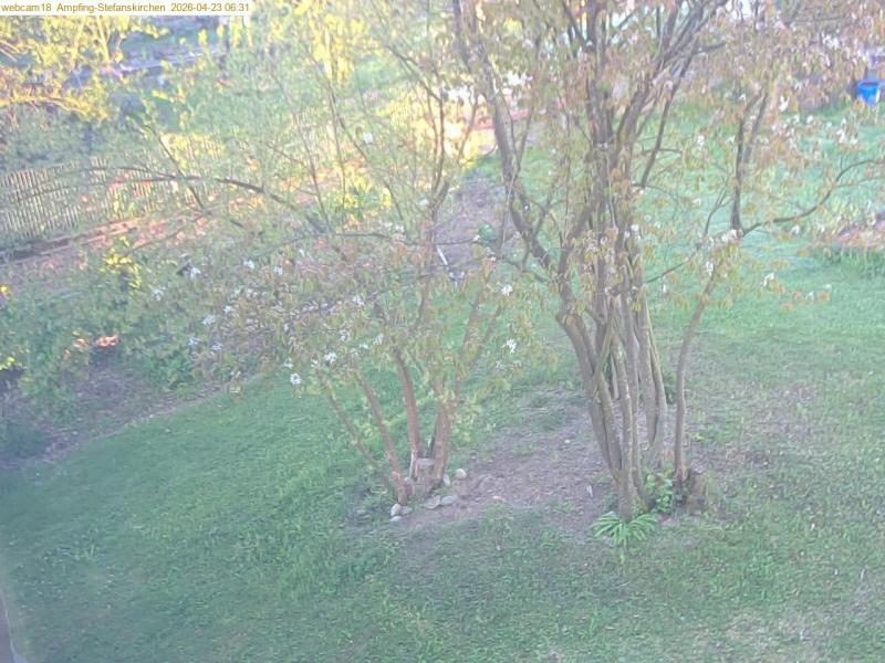 xxFoto von 2026-04-23_063118