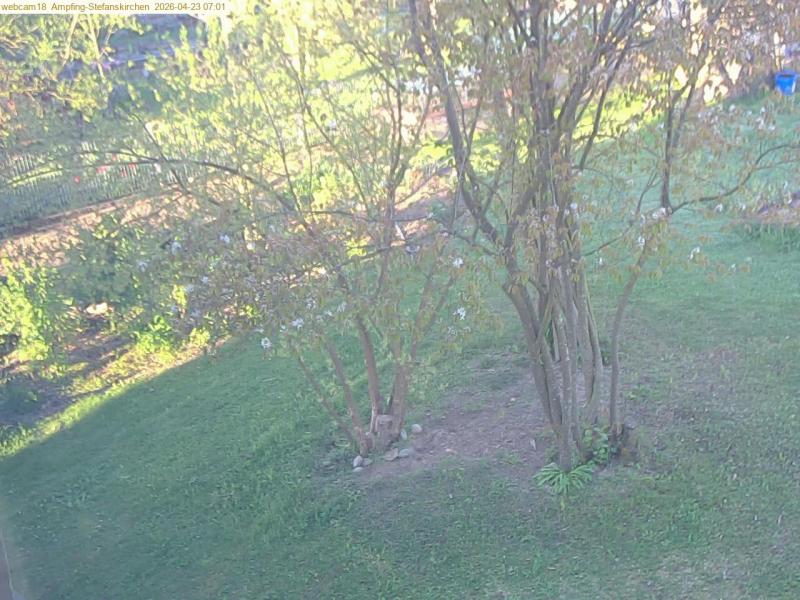 xxFoto von 2026-04-23_070118