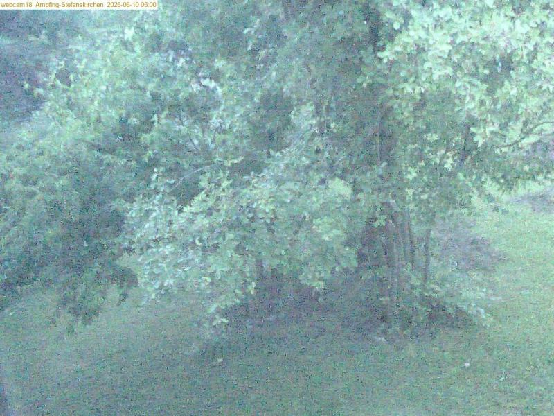 xxFoto von 2026-06-10_050039