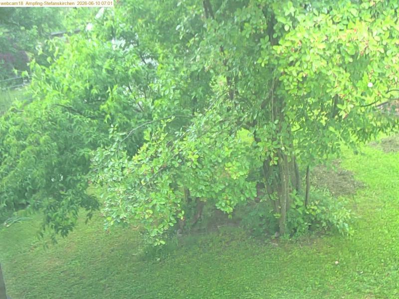 xxFoto von 2026-06-10_070121