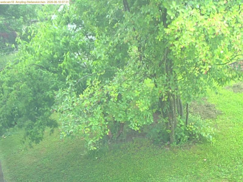 xxFoto von 2026-06-10_073122