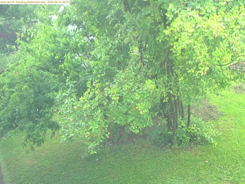 xxFoto von 2026-06-10_083121