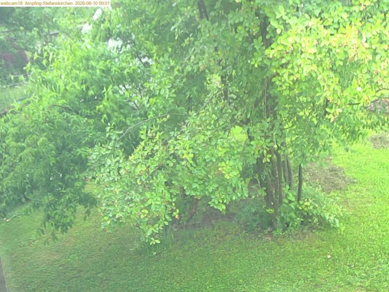 xxFoto von 2026-06-10_090121