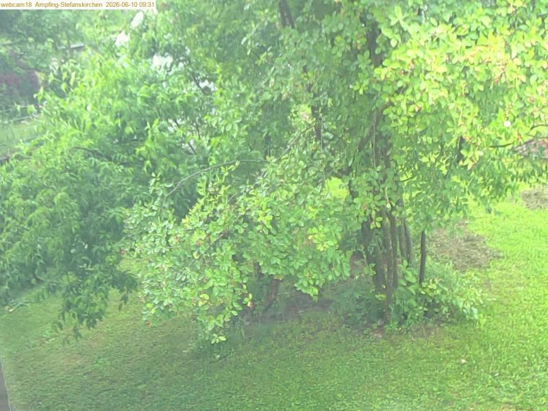 xxFoto von 2026-06-10_093121