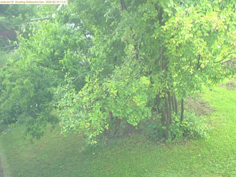 xxFoto von 2026-06-10_110124