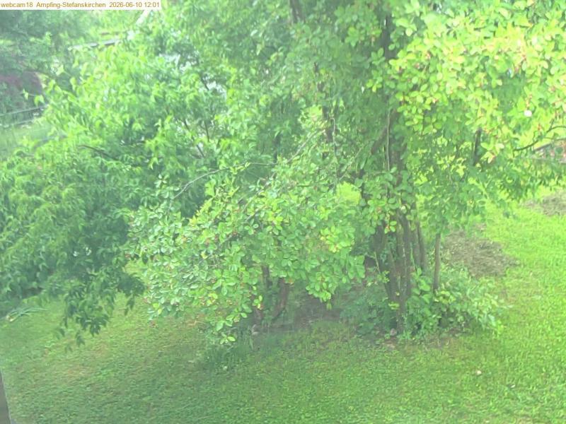 xxFoto von 2026-06-10_120123